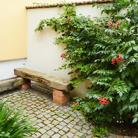 Guesthouse With 3 Apartments, Just Outside Berlin, Near To Tesla Burig Exterior photo