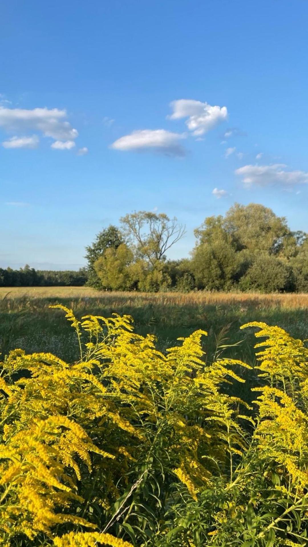 With 3 Apartments, Just Outside Berlin, Near To Tesla Burig