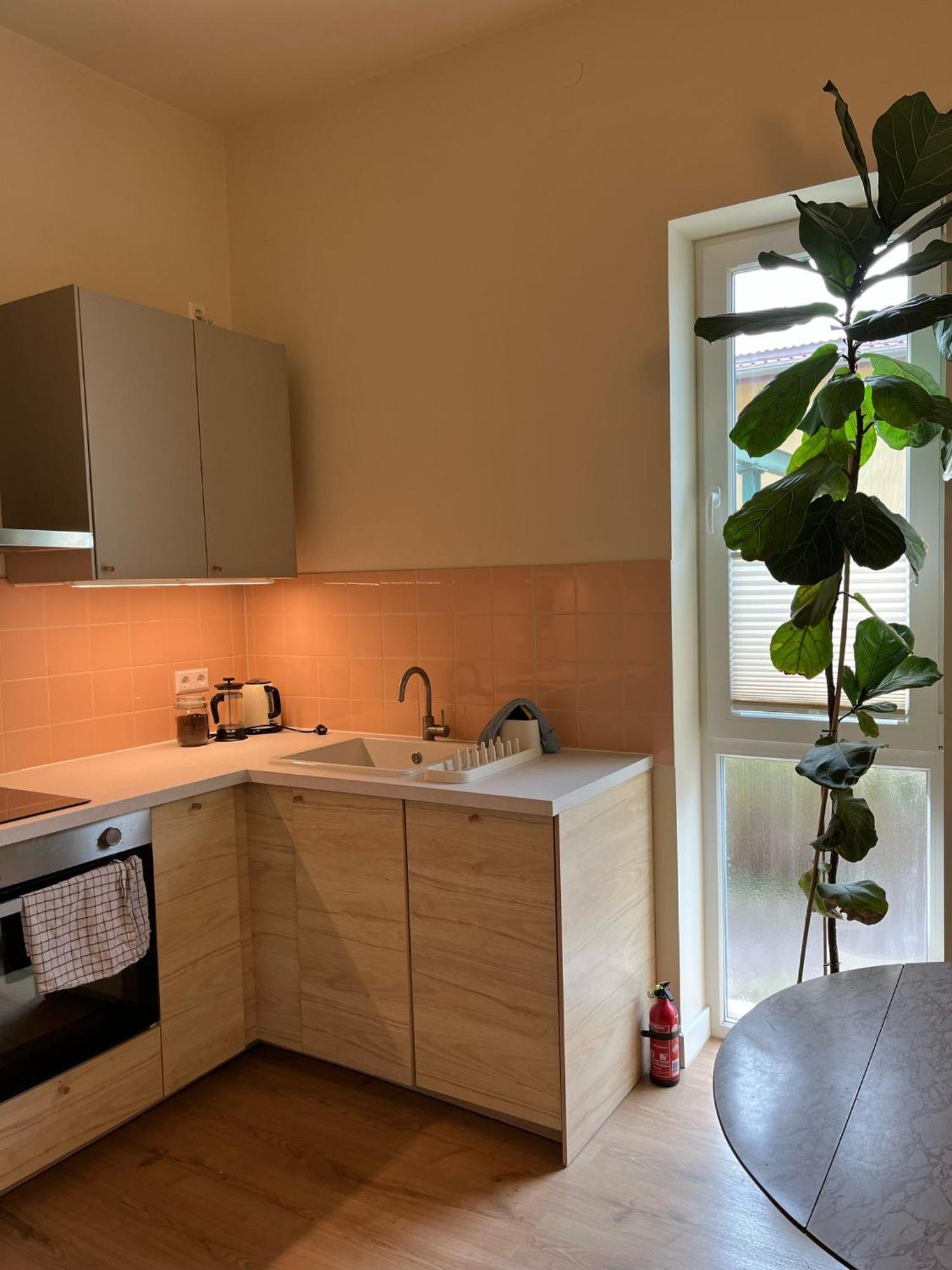 With 3 Apartments, Just Outside Berlin, Near To Tesla Burig